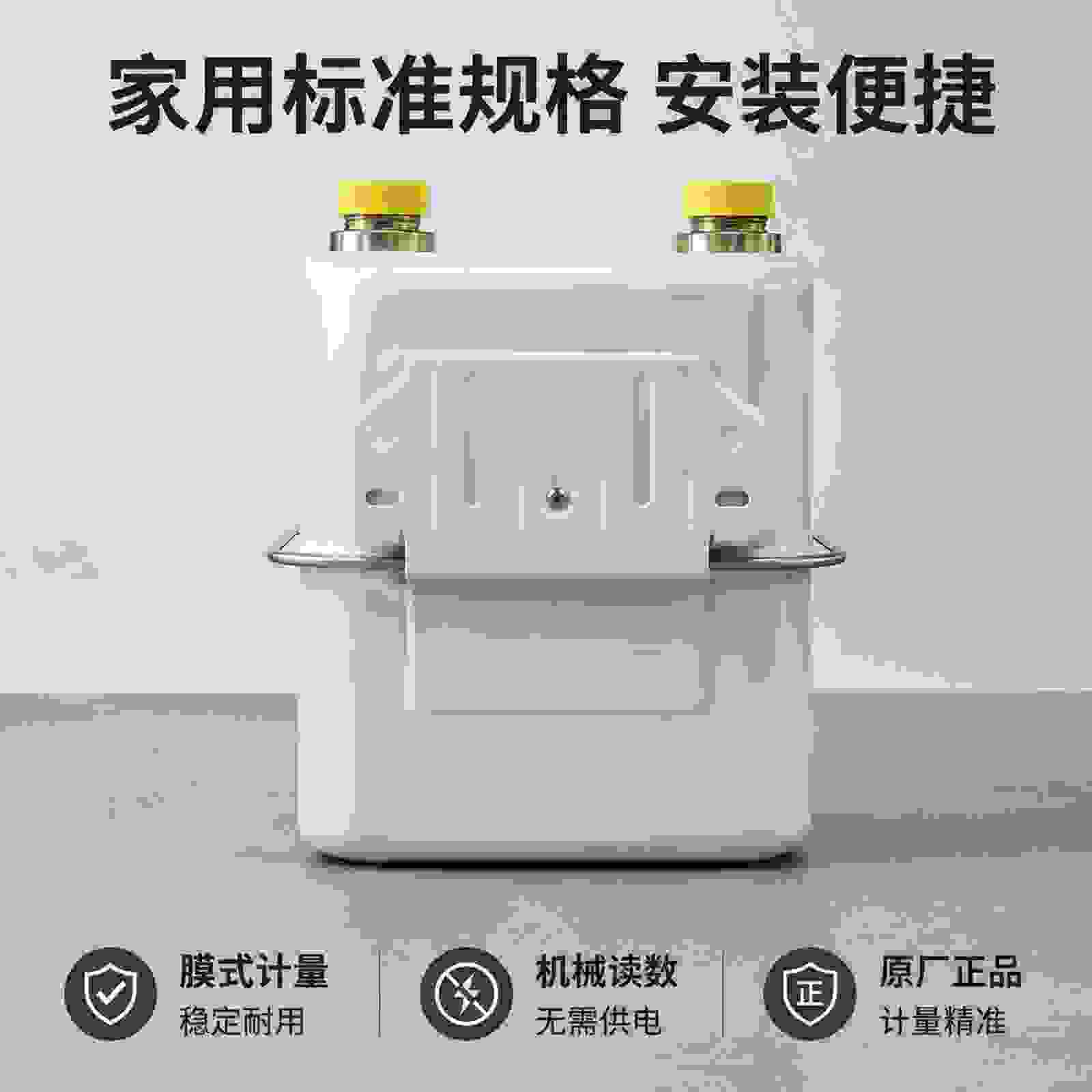 Diaphragm Gas Meter