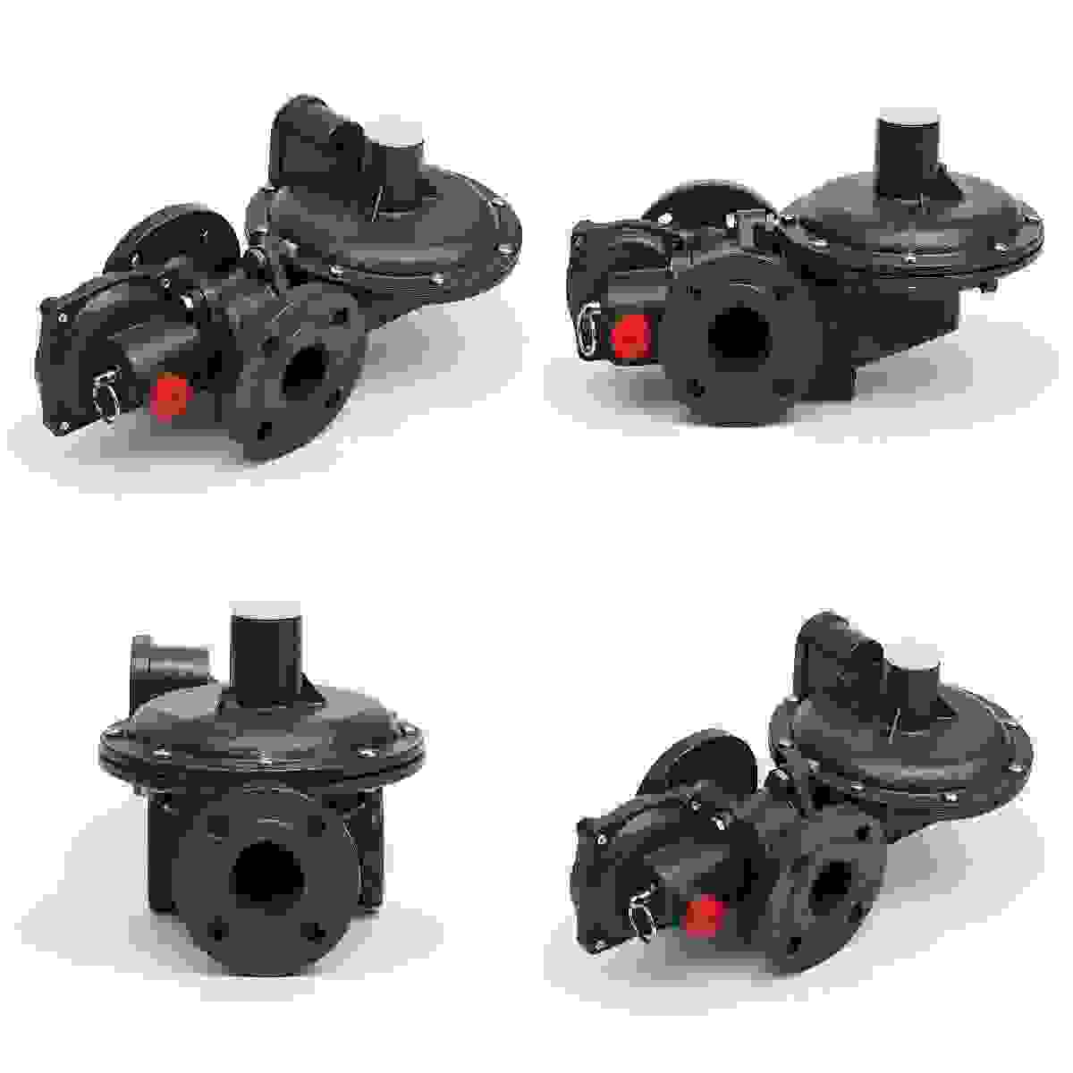 RTZ-25(L)/0.4FQ Regulator view 2