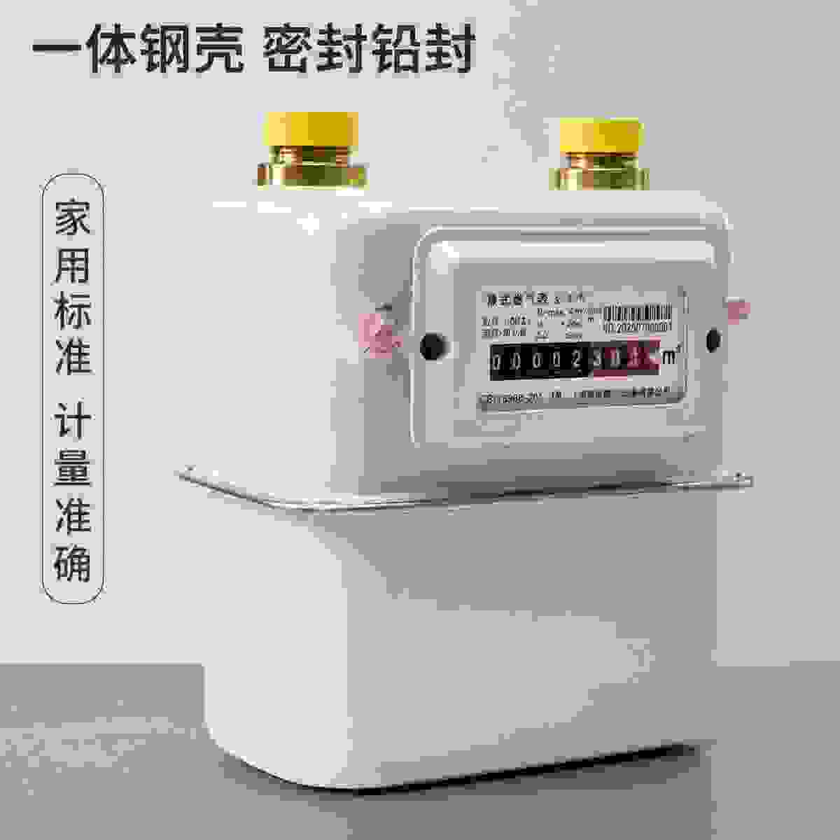 Diaphragm Gas Meter view 4