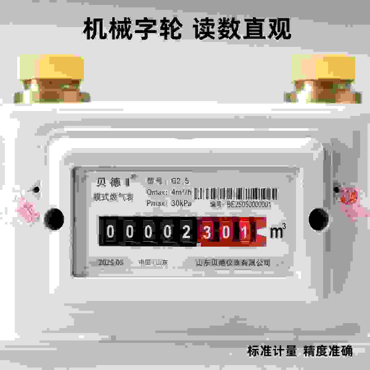 Diaphragm Gas Meter view 5