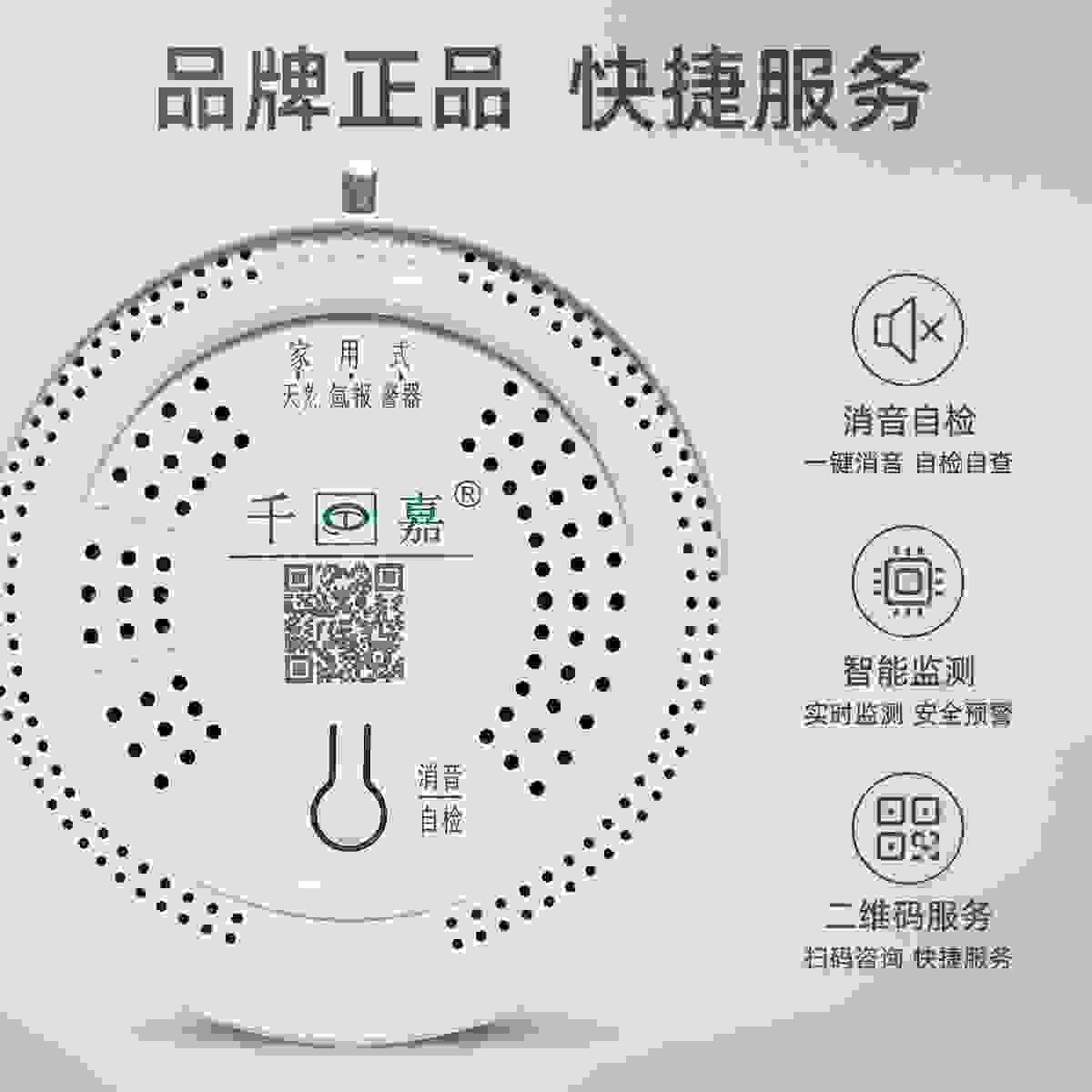 JT-QJ100 Household Gas Detector view 2