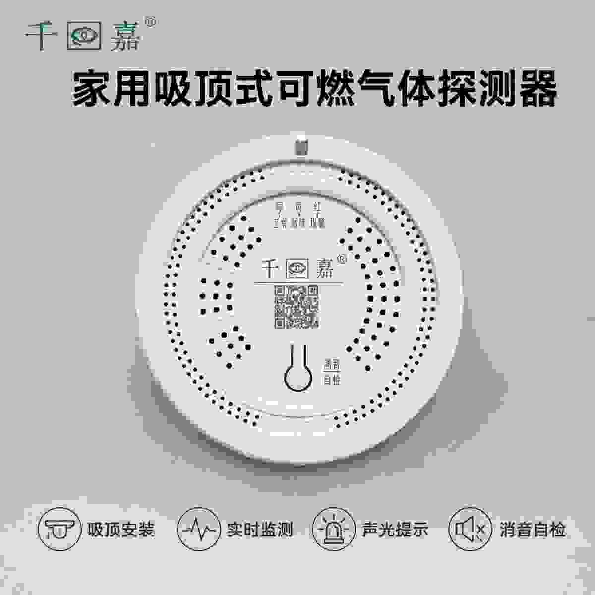 JT-QJ100 Household Gas Detector view 5