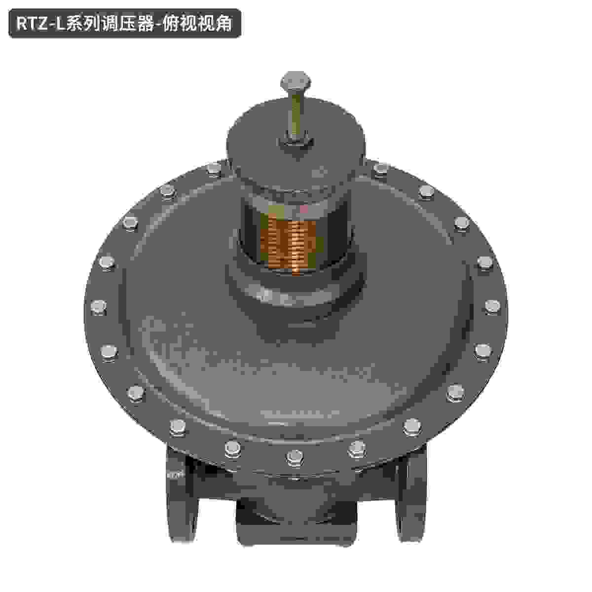 RTZ-L Series Regulators view 2