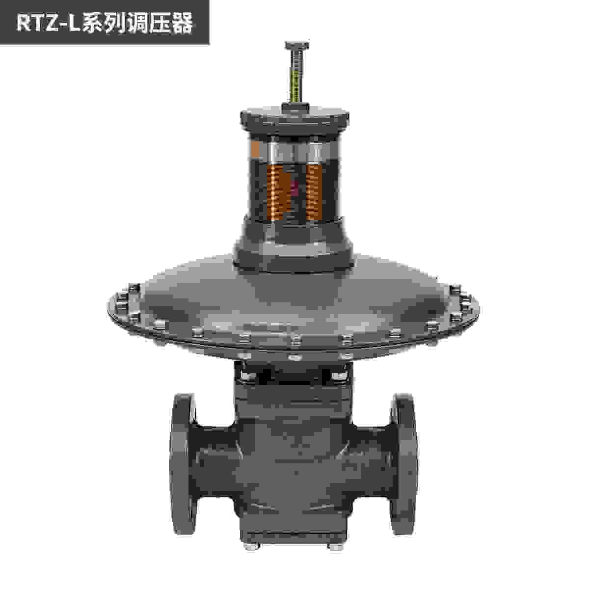 RTZ-L Series Regulators view 3