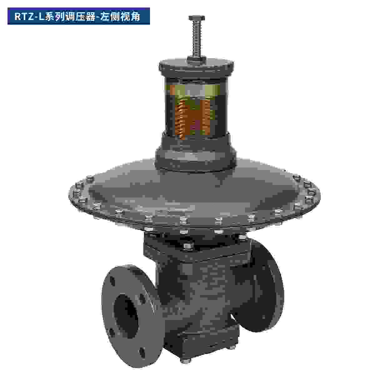 RTZ-L Series Regulators view 4