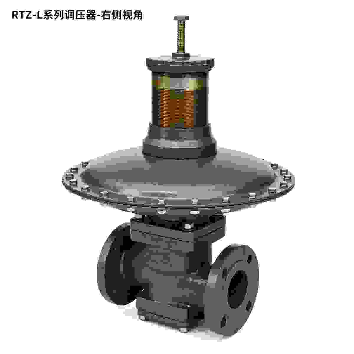 RTZ-L Series Regulators view 5