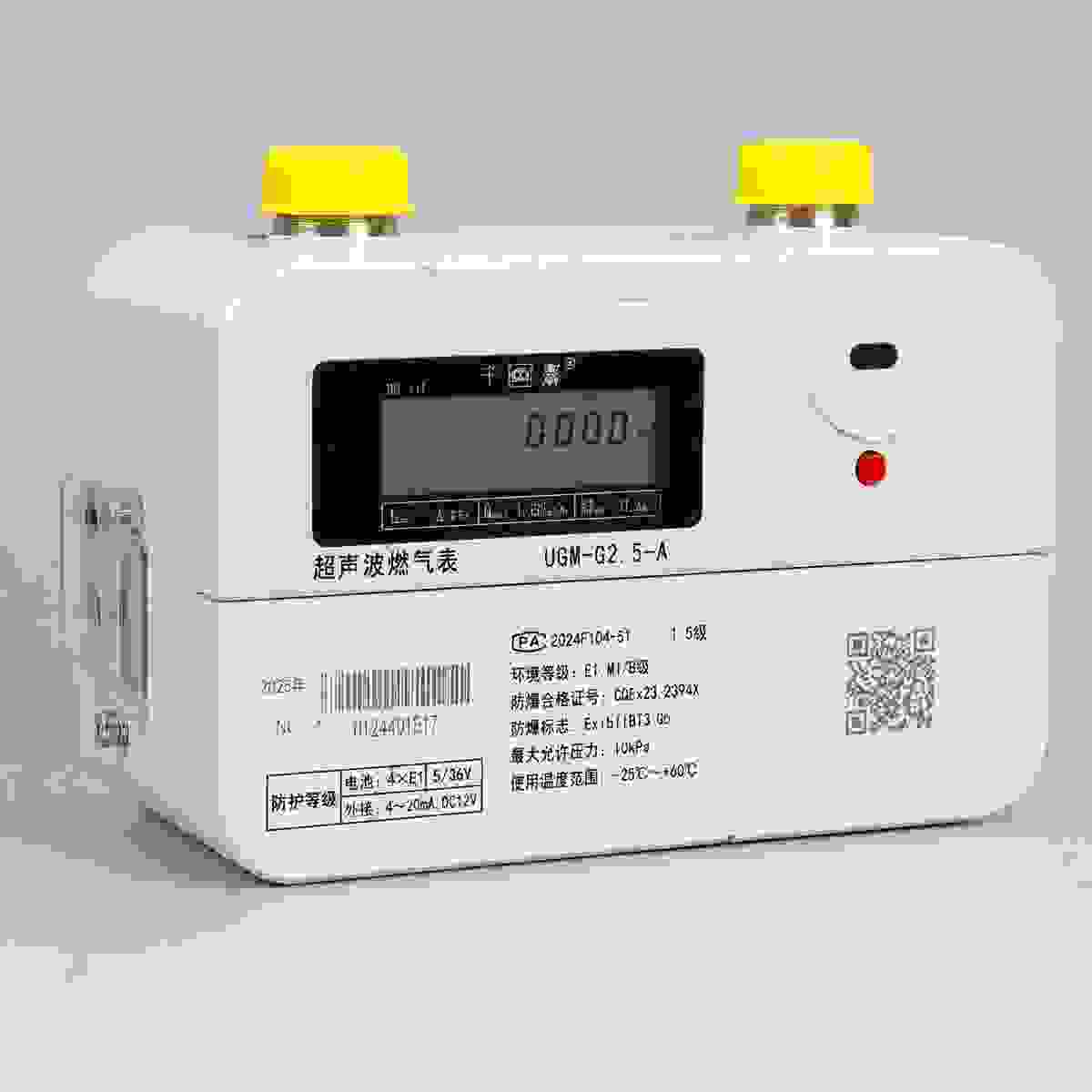 Residential Ultrasonic Gas Meter view 2
