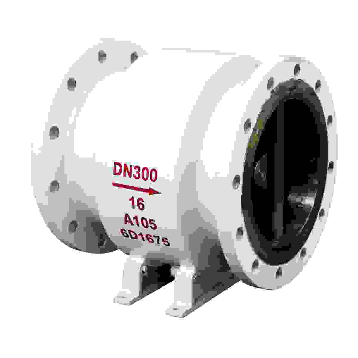 Axial Flow Check Valve view 2