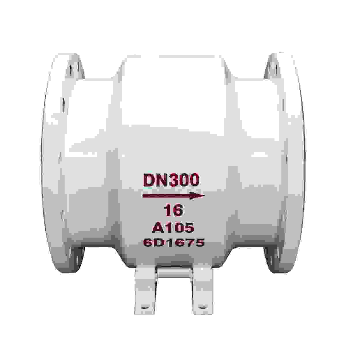 Axial Flow Check Valve view 3