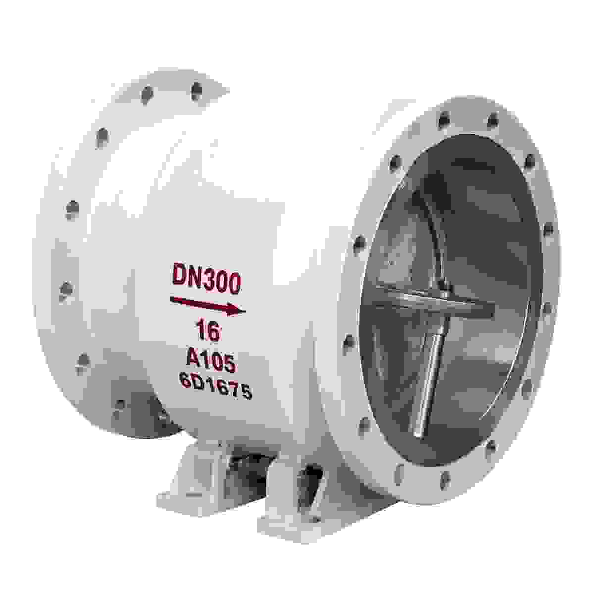 Axial Flow Check Valve view 4
